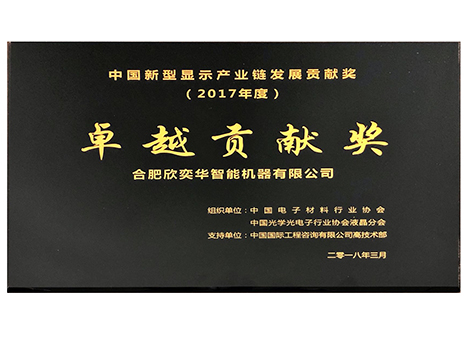 Outstanding contribution award of China new display industry development